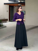 French Elegant Pleated A-Line Skirt（Z2489）