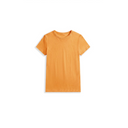 Crew Neck High-Stretch Short-Sleeve Top（Z3297）